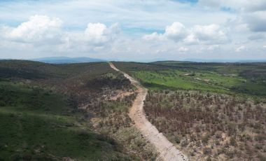 VENTA DE RANCHO 80 HECTAREAS A CAÑADAS DE OBREGON