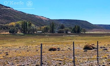 Campo en venta de 14.000 has en Neuquen Patagonia Argentina - Estancia Ganadera