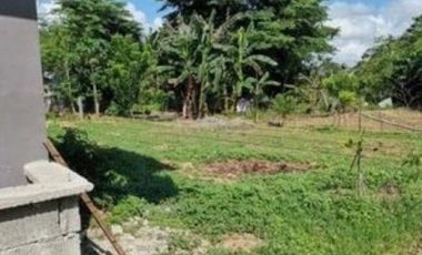 1,650 SQM RESIDENTIAL/AGRICULTURAL TITLED LAND PARCEL, SITUATED IN BRGY. DIMANPUDSO, MUNICIPALITY OF MARIA AURORA, PROVINCE OF AURORA, PHILIPPINES