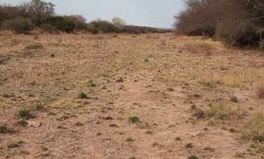 Excelente campo ganadero en departamento Rancul, La Pampa