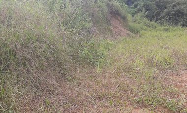 VENDO TERRENO SEMI PLANO EN BARBOSA ANTIOQUIA.