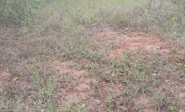 VENDO TERRENO SEMI PLANO EN BARBOSA ANTIOQUIA.