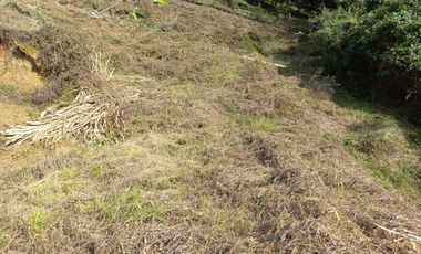 VENDO TERRENO SEMI PLANO EN BARBOSA ANTIOQUIA.