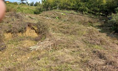 VENDO TERRENO SEMI PLANO EN BARBOSA ANTIOQUIA.