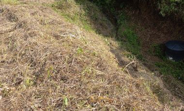 VENDO TERRENO SEMI PLANO EN BARBOSA ANTIOQUIA.