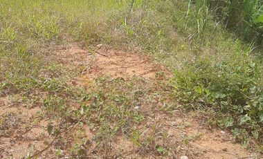 VENDO TERRENO SEMI PLANO EN BARBOSA ANTIOQUIA.