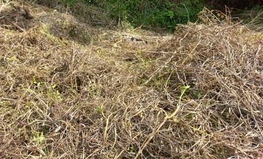 VENDO TERRENO SEMI PLANO EN BARBOSA ANTIOQUIA.