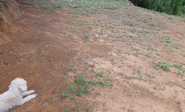 VENDO TERRENO SEMI PLANO EN BARBOSA ANTIOQUIA.