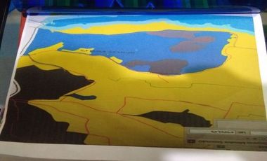 Cheap Land For Sale 6 Ha in Batujajar West Bandung City