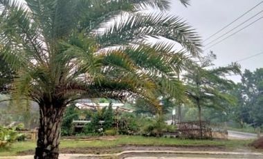 Tanah Dijual di Padalarang Bandung