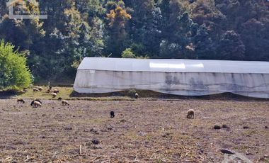 VENTA DE HERMOSO TERRENO CON INVERNADEROS COLINDA CON ARROYO EN CARBONERAS, MINERAL DEL CHICO.