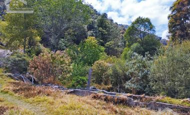 VENTA DE HERMOSO TERRENO CON INVERNADEROS COLINDA CON ARROYO EN CARBONERAS, MINERAL DEL CHICO.