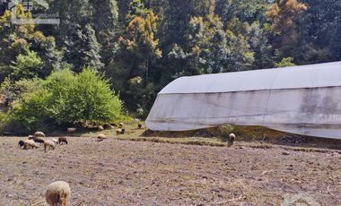 VENTA DE HERMOSO TERRENO CON INVERNADEROS COLINDA CON ARROYO EN CARBONERAS, MINERAL DEL CHICO.