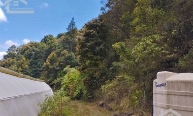 VENTA DE HERMOSO TERRENO CON INVERNADEROS COLINDA CON ARROYO EN CARBONERAS, MINERAL DEL CHICO.