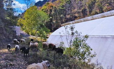 VENTA DE HERMOSO TERRENO CON INVERNADEROS COLINDA CON ARROYO EN CARBONERAS, MINERAL DEL CHICO.