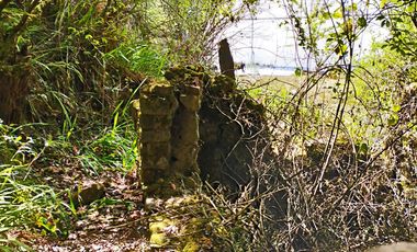 VENTA DE HERMOSO TERRENO CON INVERNADEROS COLINDA CON ARROYO EN CARBONERAS, MINERAL DEL CHICO.