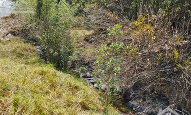 VENTA DE HERMOSO TERRENO CON INVERNADEROS COLINDA CON ARROYO EN CARBONERAS, MINERAL DEL CHICO.