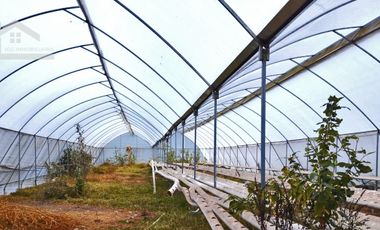 VENTA DE HERMOSO TERRENO CON INVERNADEROS COLINDA CON ARROYO EN CARBONERAS, MINERAL DEL CHICO.