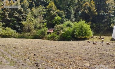 VENTA DE HERMOSO TERRENO CON INVERNADEROS COLINDA CON ARROYO EN CARBONERAS, MINERAL DEL CHICO.