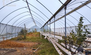 VENTA DE HERMOSO TERRENO CON INVERNADEROS COLINDA CON ARROYO EN CARBONERAS, MINERAL DEL CHICO.