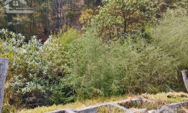 VENTA DE HERMOSO TERRENO CON INVERNADEROS COLINDA CON ARROYO EN CARBONERAS, MINERAL DEL CHICO.