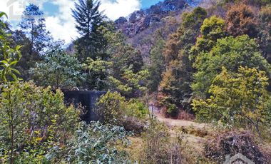 VENTA DE HERMOSO TERRENO CON INVERNADEROS COLINDA CON ARROYO EN CARBONERAS, MINERAL DEL CHICO.