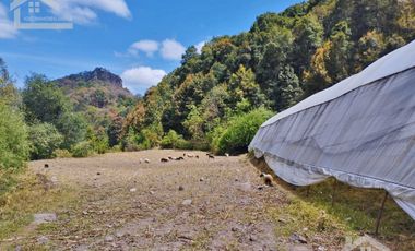 VENTA DE HERMOSO TERRENO CON INVERNADEROS COLINDA CON ARROYO EN CARBONERAS, MINERAL DEL CHICO.