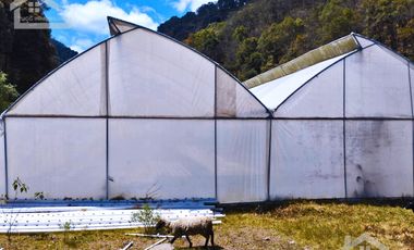 VENTA DE HERMOSO TERRENO CON INVERNADEROS COLINDA CON ARROYO EN CARBONERAS, MINERAL DEL CHICO.