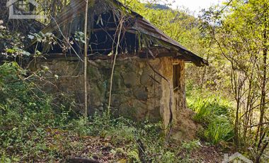 VENTA DE HERMOSO TERRENO CON INVERNADEROS COLINDA CON ARROYO EN CARBONERAS, MINERAL DEL CHICO.