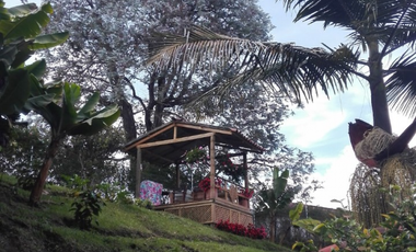 finca en venta en cerca a la universidad de antioquia. Cod V400728
