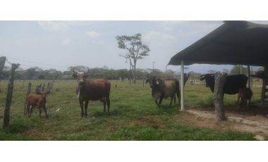 EXCELENTE LOTE EN VENTA VIA RESTREPO (META)