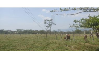 EXCELENTE LOTE EN VENTA VIA RESTREPO (META)