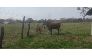 EXCELENTE LOTE EN VENTA VIA RESTREPO (META)