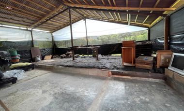 finca en arriendo en la ceja. Cod A63959