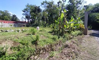 Jual Cepat Tanah Murah Legalitas Aman Hanya 3 km Exit Tol Prambanan