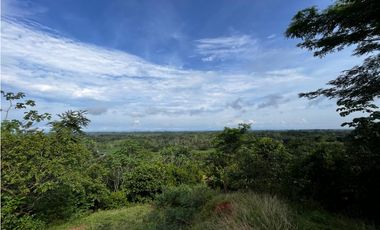 FINCAS EN VENTA, YONDÓ - ANTIOQUIA