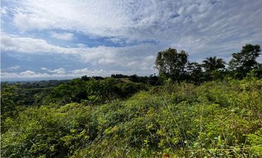 FINCAS EN VENTA, YONDÓ - ANTIOQUIA