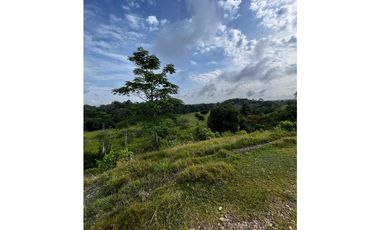 FINCAS EN VENTA, YONDÓ - ANTIOQUIA