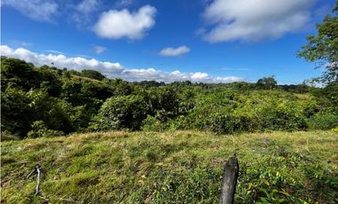 FINCAS EN VENTA, YONDÓ - ANTIOQUIA