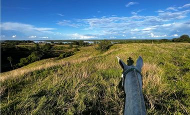 FINCAS EN VENTA, YONDÓ - ANTIOQUIA