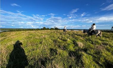 FINCAS EN VENTA, YONDÓ - ANTIOQUIA