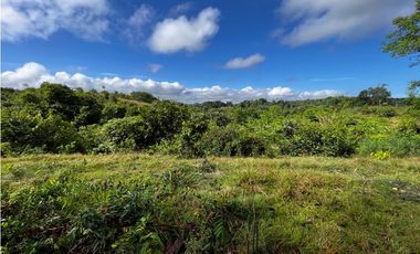 FINCAS EN VENTA, YONDÓ - ANTIOQUIA