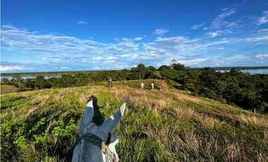 FINCAS EN VENTA, YONDÓ - ANTIOQUIA