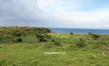 Tanah 8.6 Ha Tepi Pantai Pink Beach Telone Lombok Timur