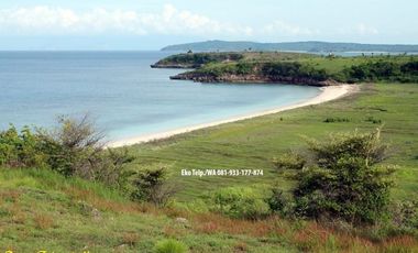 Tanah 8.6 Ha Tepi Pantai Pink Beach Telone Lombok Timur