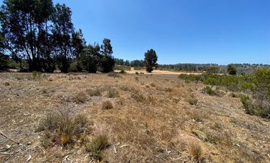 Sitio en Venta en Los Aromos de Tunquen