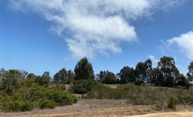Sitio en Venta en Los Aromos de Tunquen