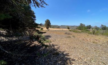 Sitio en Venta en Los Aromos de Tunquen