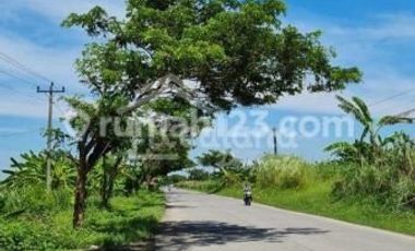 Jual Tanah di Onggorawe , Sayung Demak ( Vn 3268 )