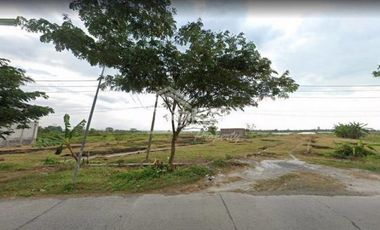 Jual Tanah di Onggorawe , Sayung Demak ( Vn 3268 )